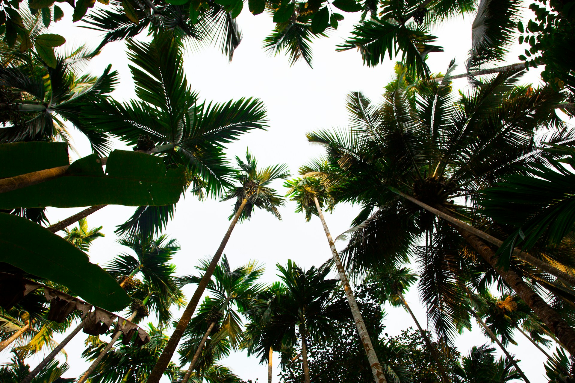 Sustainable Living: Eco-Friendly Practices for a Greener Planet